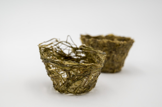 Bild:  Starch-Based Bioplastic