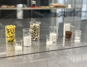 Bild:  Photosymbiosen – On Co-Developing with Plant Accomplices