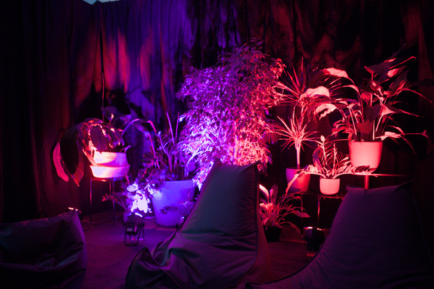 Bild:  Ansichten von A Factor of Evolution in Triangel Studio