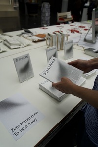 Bild:  Ausstellungsansichten Schwarm