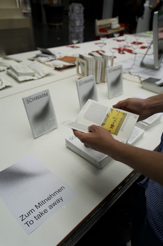Bild:  Ausstellungsansichten Schwarm
