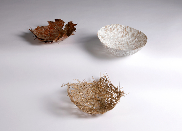 Bild:  There are Biocomposites Growing in My Garden